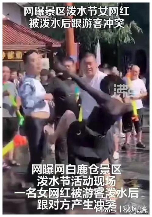 网红打架爆料视频大全,揭秘网络暴力背后的真相
